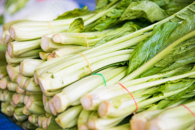 Bunches of fresh green leafy vegetables at asian street market. can be used as food background