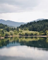 Scenic view of lake by trees against sky