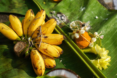 High angle view of bananas and flowers on leaf