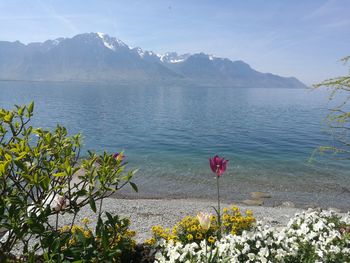 Scenic view of lake against sky