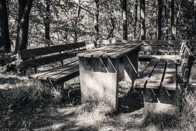 Empty bench on field by trees in forest