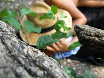 Close-up of hand on rock