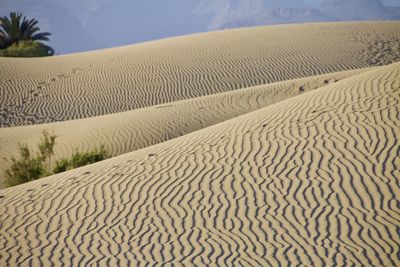 Sand dune in desert against sky