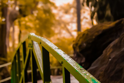 Close-up of railing against trees