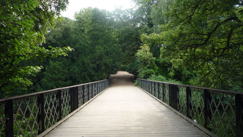 Footbridge amidst trees in forest