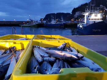 Close-up of fish at harbor against sky