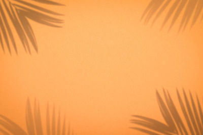 Close-up of palm tree against orange sky