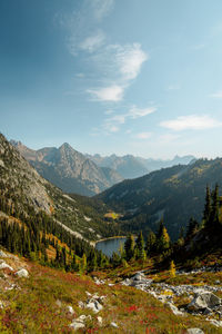 High mountain altitude trees off trail with alpine lake below in north cascades national park