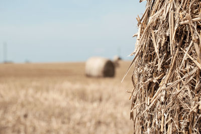 Hay bales on field against sky