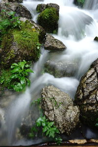 Scenic view of waterfall