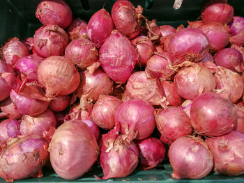 Close-up of fruits for sale at market stall