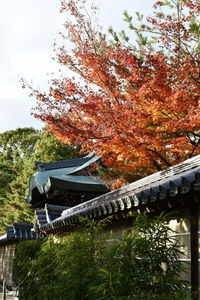 Trees and plants against sky during autumn