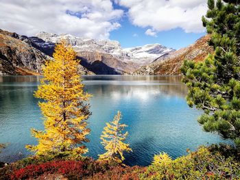 Scenic view of lake by trees against sky