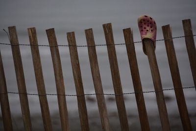 Close-up of wood against sky