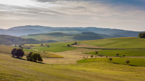 Scenic view of agricultural field against sky