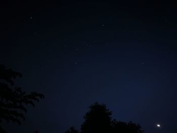 Low angle view of trees against sky at night