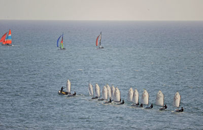 Sailboats sailing in sea against sky