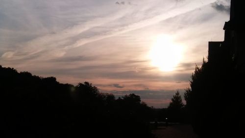 Silhouette trees against sky during sunset