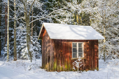 Small idyllic red cottage in a wintry forest