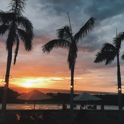 Silhouette of palm trees at seaside during sunset