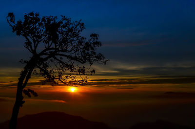 Silhouette tree against sky during sunset