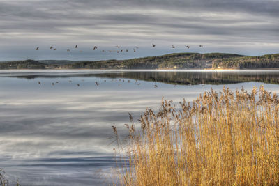 Scenic view of lake against sky