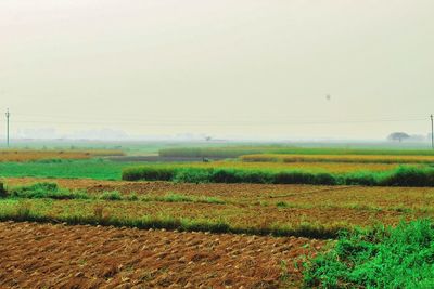 Scenic view of field against clear sky