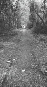 Footpath amidst trees in forest