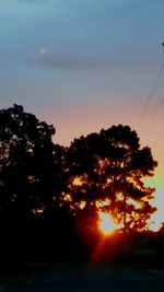 Silhouette of trees at sunset