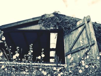 Low angle view of house