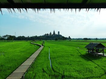 Scenic view of agricultural field against sky