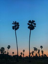 Low angle view of silhouette palm trees against sky during sunset