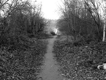 Wet road amidst trees against sky