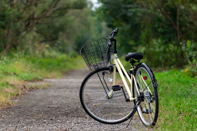 Bicycle parked by tree on field