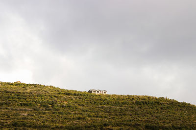 View of horse on field against sky