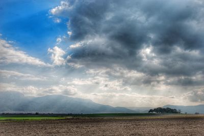 Scenic view of agricultural field against sky