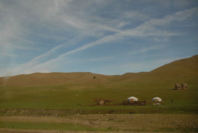 Scenic view of grassy field