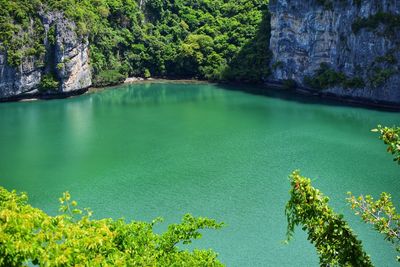 Scenic view of lake by trees