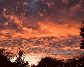 Low angle view of silhouette trees against dramatic sky