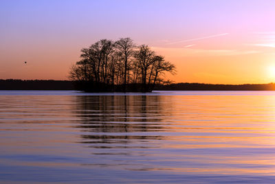 Silhouette trees by lake against sky during sunset