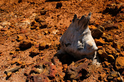 High angle view of mud on rock