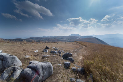 Scenic view of landscape against sky