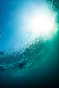 Close-up of swimming underwater