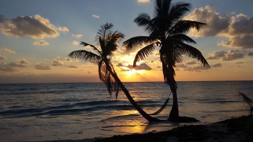 Silhouette palm tree on beach against sky during sunset