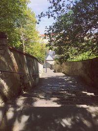 Footpath leading to tunnel