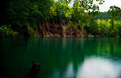 Scenic view of lake in forest