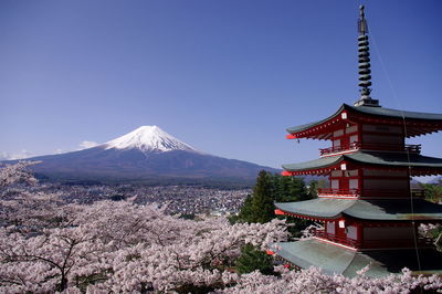 View of mt. fuji in spring