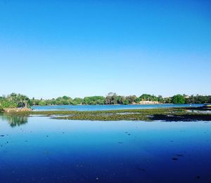 Scenic view of lake against clear blue sky