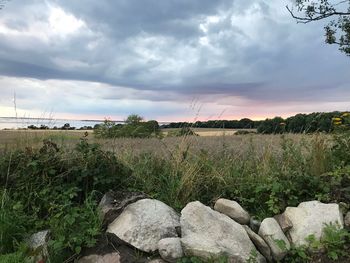 Scenic view of field against sky