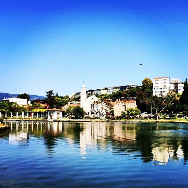 building exterior, architecture, built structure, water, clear sky, bird, waterfront, flying, blue, copy space, animal themes, reflection, city, river, residential structure, wildlife, animals in the wild, residential building, house, lake